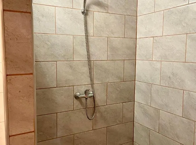Drozdi Hnizdo *