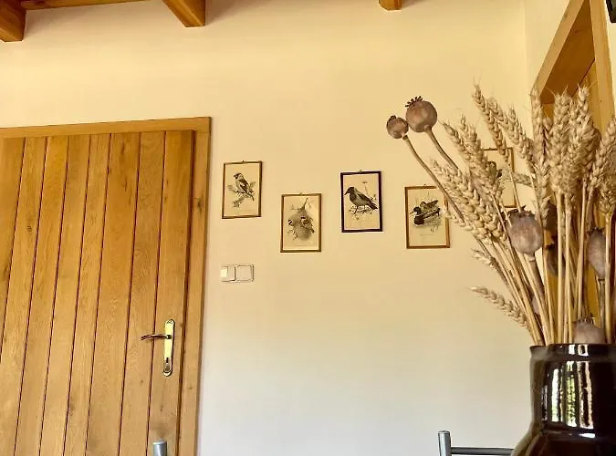 Appartement Drozdi Hnizdo