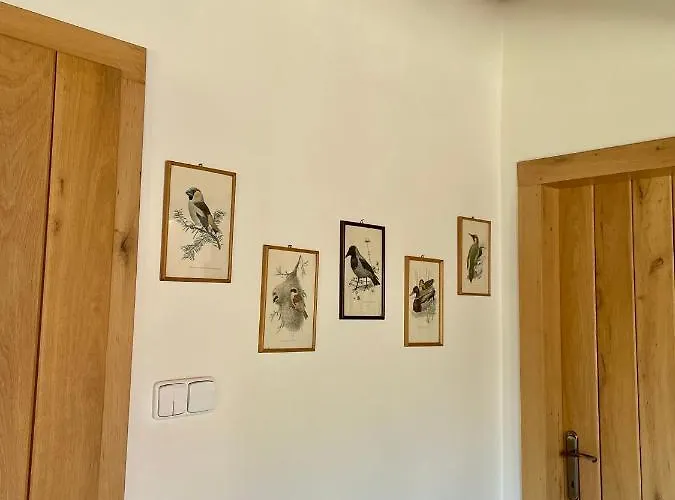 Drozdi Hnizdo Appartement